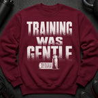 Maroon sweatshirt with distressed white text "TRAINING WAS GENTLE" and illustrations.